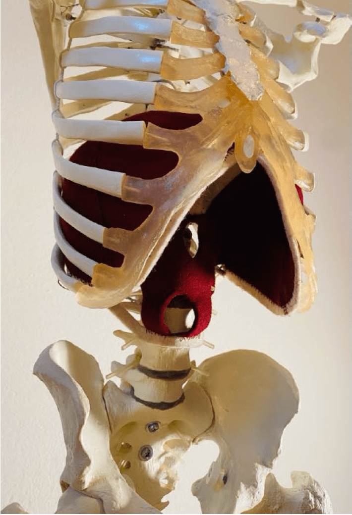 Bildschirmfoto 2025-12-09 um 09.53.02